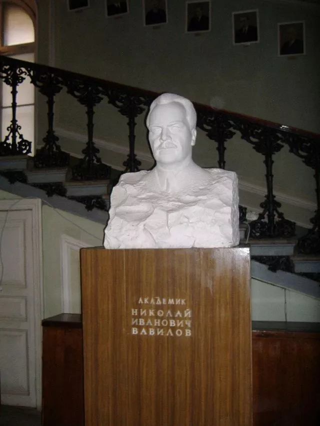 Nikolaj Ivanovič Vavilov