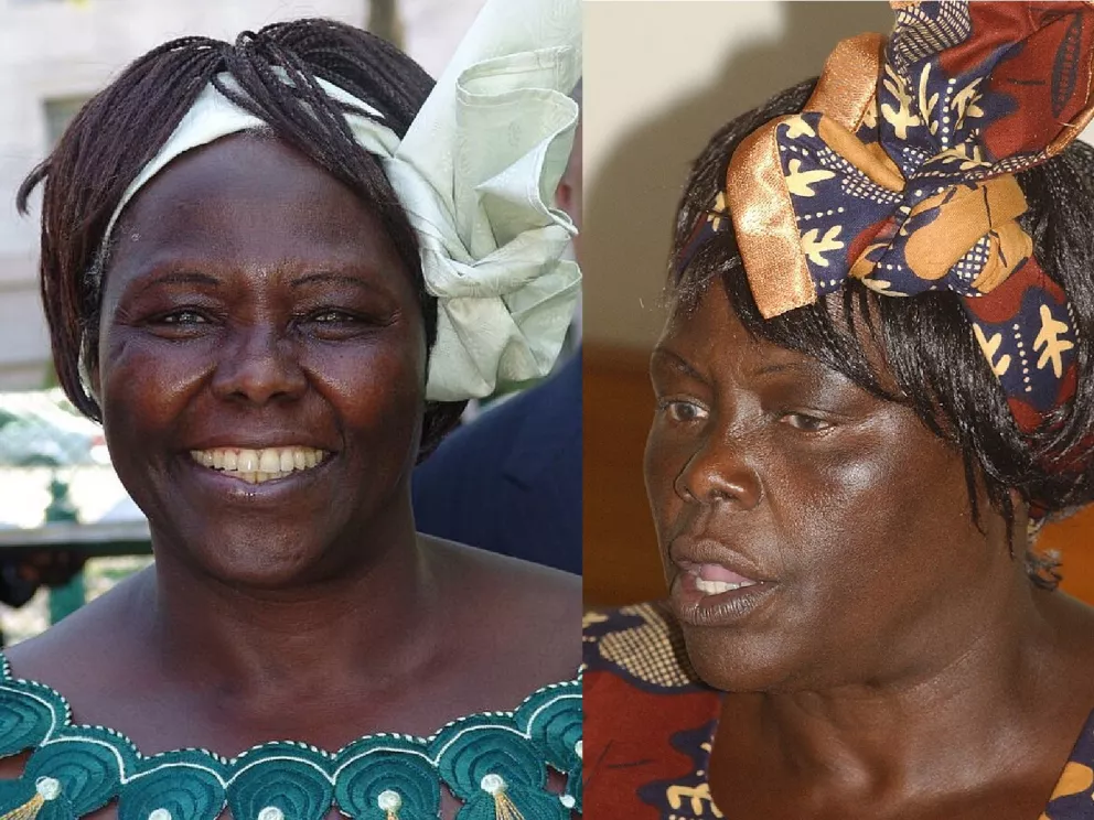 Wangari Maathai 