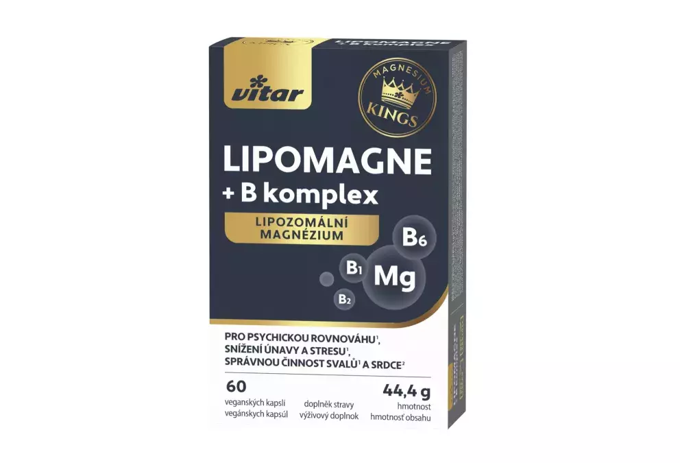 Lipomagne