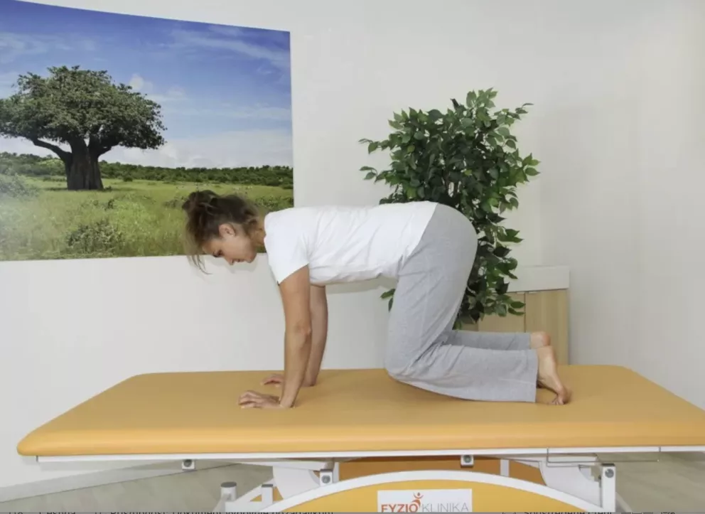 <p><strong>Cvik číslo 7</strong></p>

<p><strong>Opora na čtyřech se zdviháním kolem</strong>. Pozice na všech čtyřech, srovnejte páteř, vytahujte se za temenem hlavy a za kostrčí do dálky. Nadzvedněte kolena nad podložku. Vzepřete se o ruce a špičky. Udržte správné postavení hlavy a páteře. Povolte.</p>
