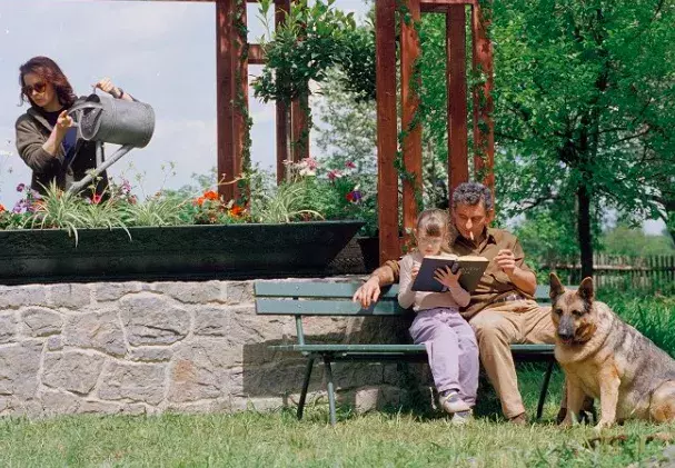 Báječná léta pod psa