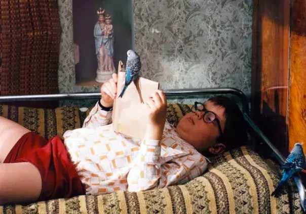 Báječná léta pod psa