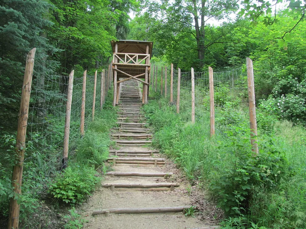 Jáchymovské lágry