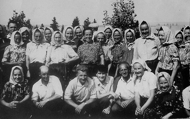 Brigáda za socialismu