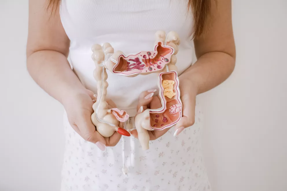 žena drží v ruce model střev
