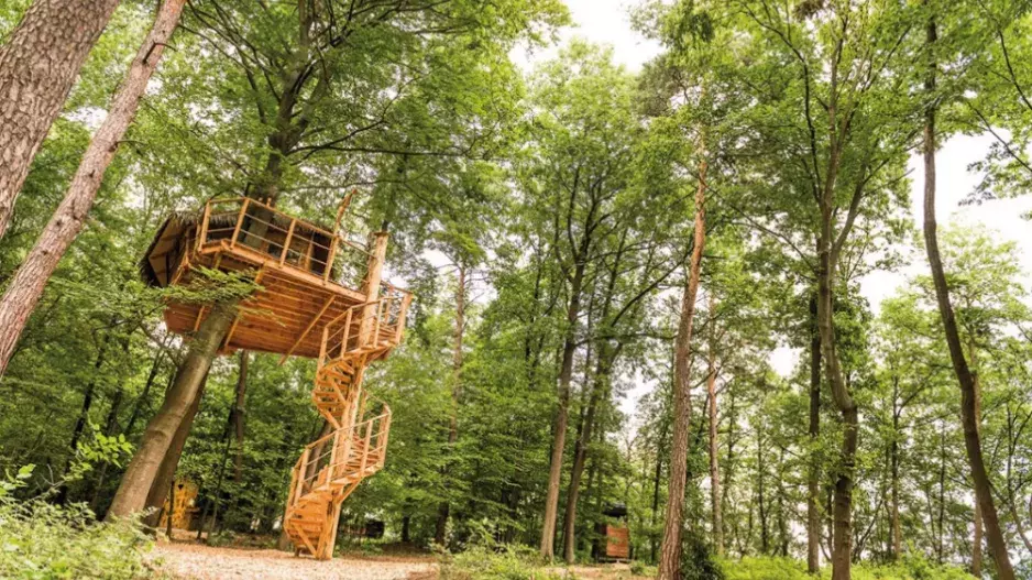 Vyhrajte noc ve Stromodomě pro 2 osoby!