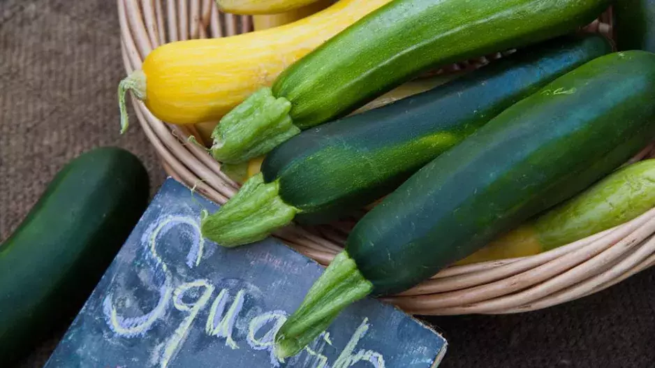 5 důvodů, proč je cuketa nejspíš ta nejlepší zelenina