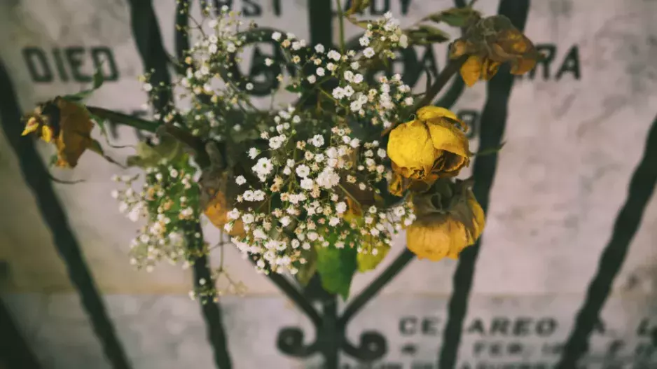 Těžká chvíle: Jak dětem vysvětlit, že někdo zemřel?