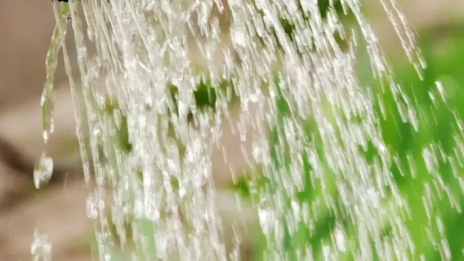 Zakládání trávníku