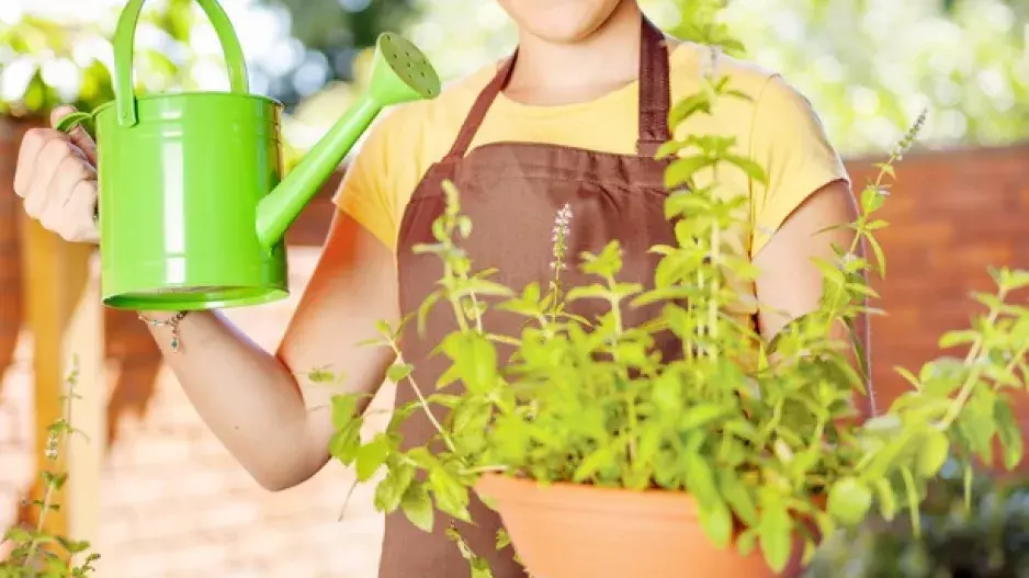 Vynalézavý dědula