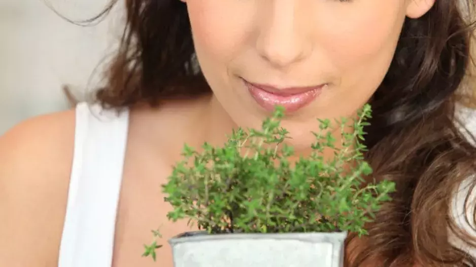 Bylinky mají rozdílné nároky