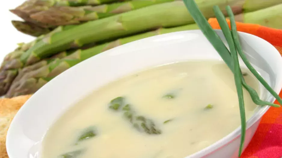 Sezona českého chřestu právě začíná