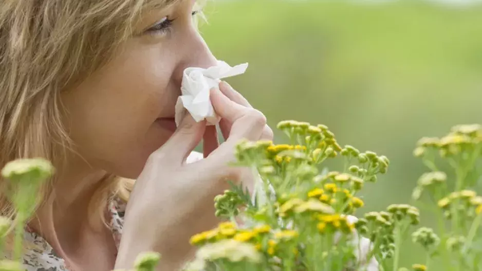 Alergie na číhané