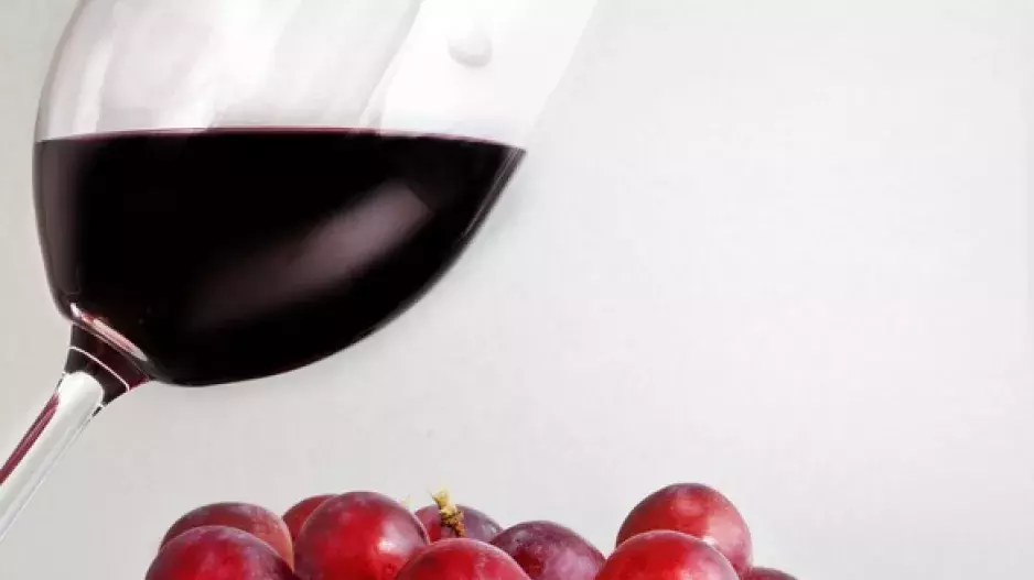 Vinařské festivaly lákají