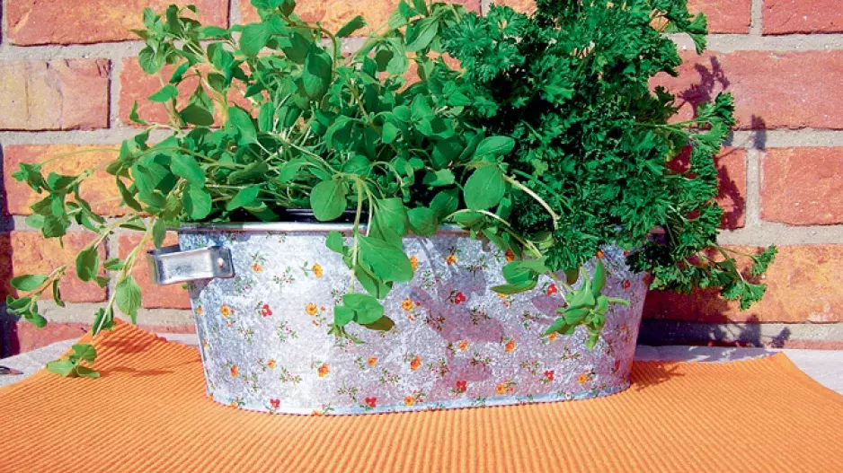 Půvabný domov pro bylinky