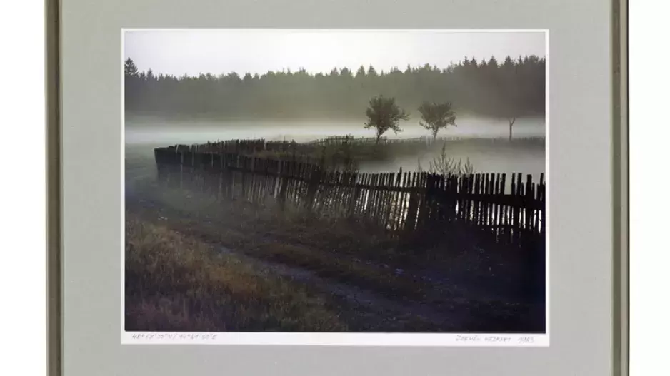 Múzy na pomoc dětem