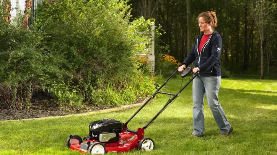 Zbavte zahradu klíšťat