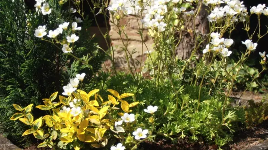 15 nápadů na zahradní zákoutí