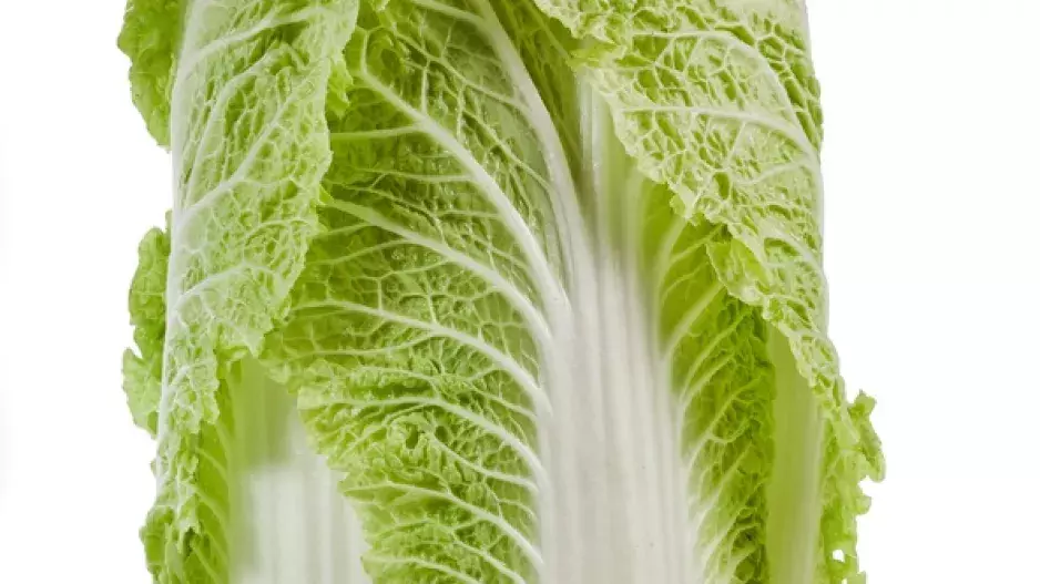 Pěstujte zeleninu pro podzim