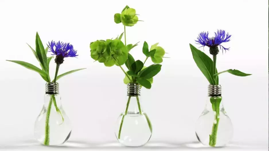 Skleněné letní nápady