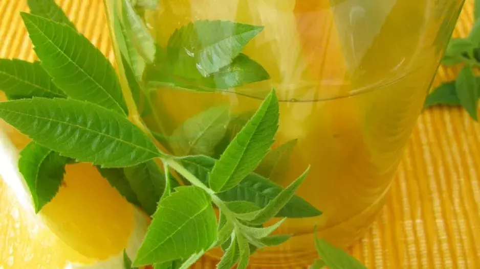 Rozšiřte bylinkovou zahrádku