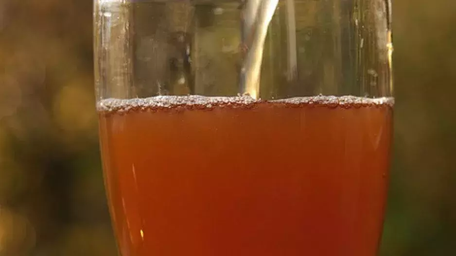 Trendy nápoj: Sídr, nebo sajdr?