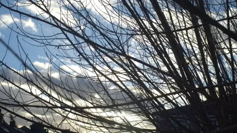 Knižní tip: Temné Boty do půlnoci