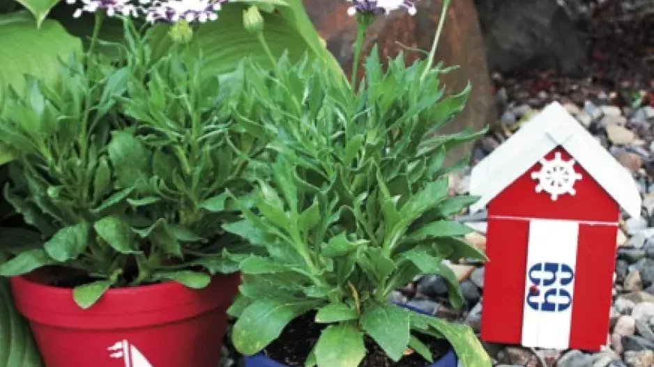 Stylová výzdoba: Námořnické květináče