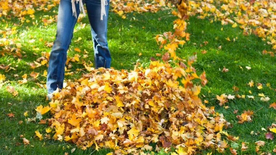 Spadané listí: Poradíme vám, co s ním