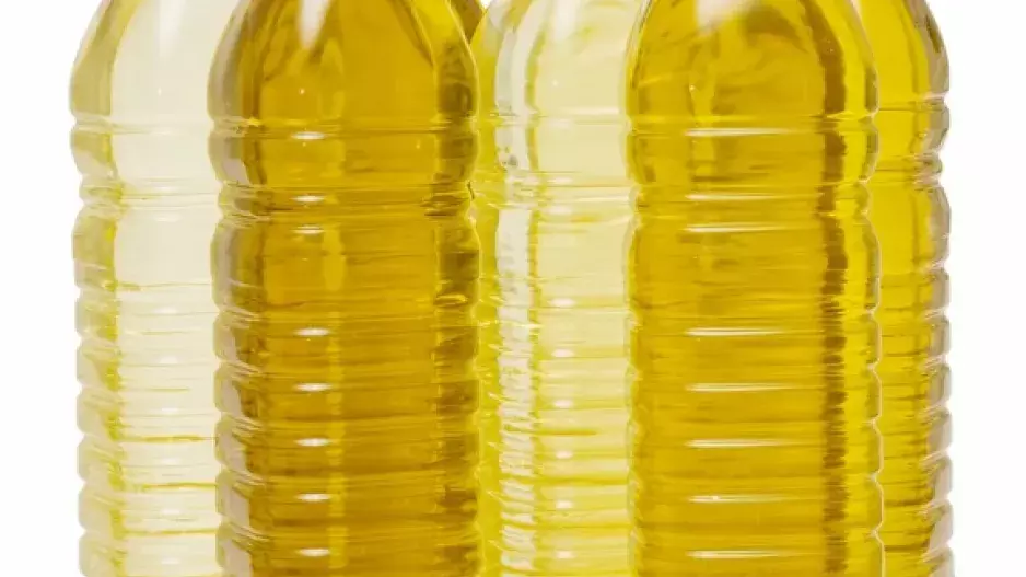 Není olej jako olej: Které jsou nejkvalitnější?