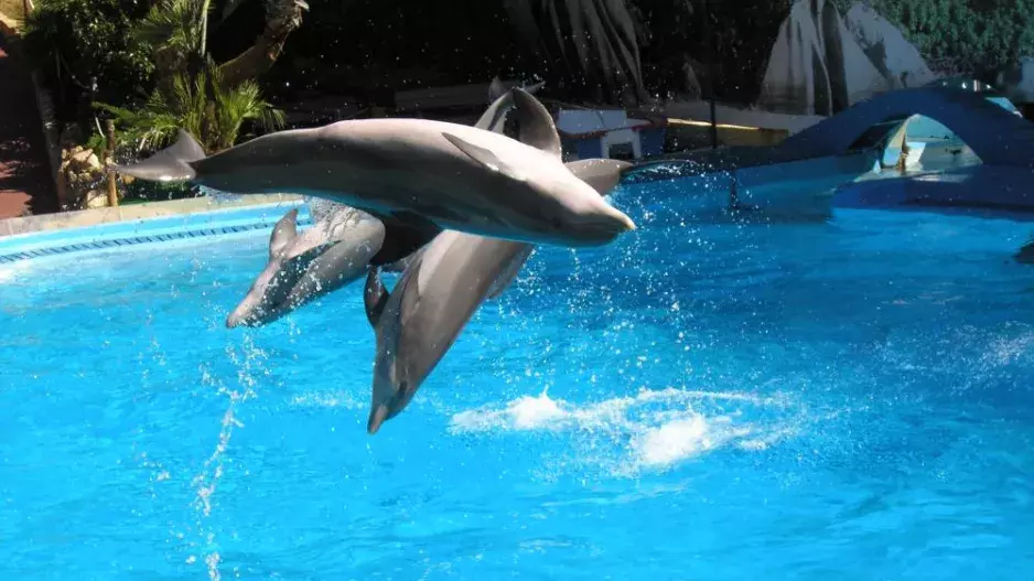 Tip na pozdní dovolenou: Sladký život v Algarve