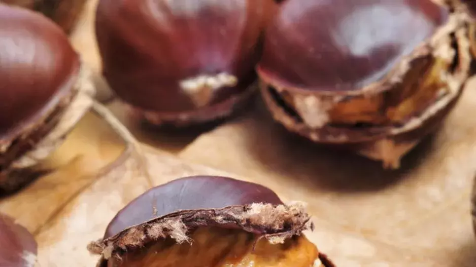 Jedlé kaštany: Víte, co s nimi?