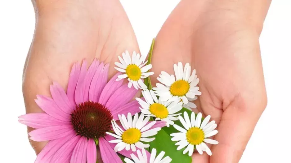 Léčba květy: Jak pomáhá