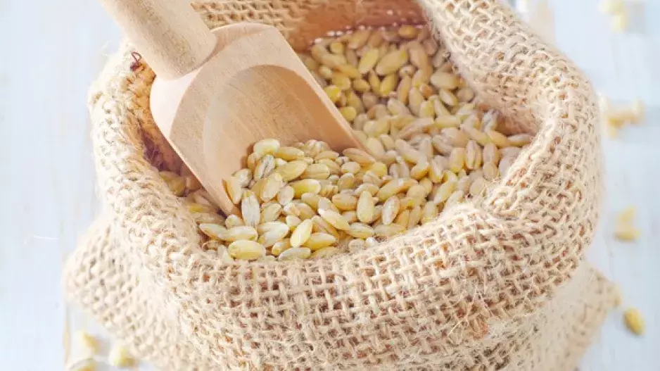 Špalda: Zdraví v obilném zrnku