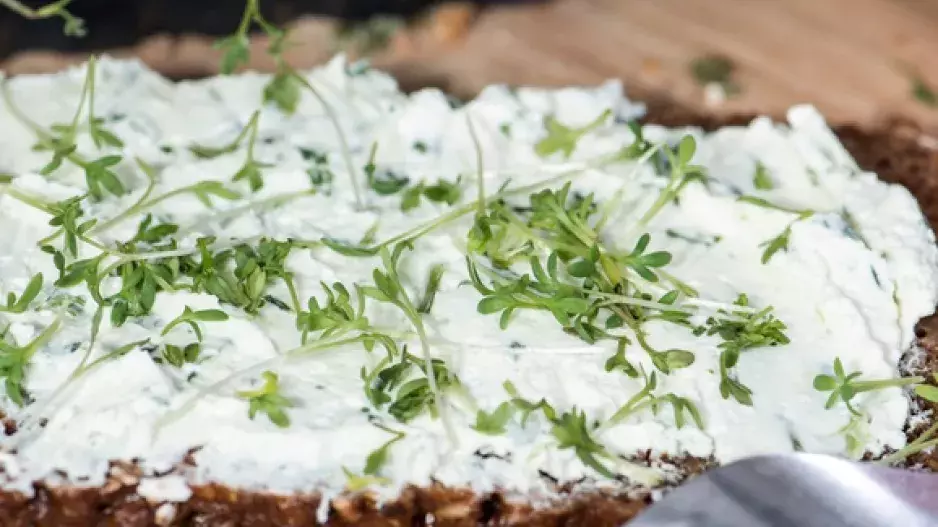 I sýry podléhají sezoně: Co v předjaří?