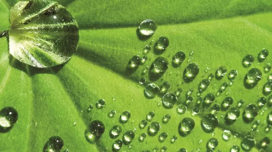 Biostyl jinak: 7 inspirací