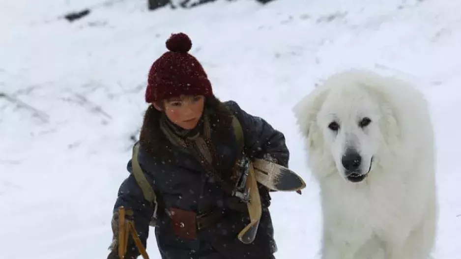 Bella a Sebastián: Nová dobrodružství ve filmu i v knížce