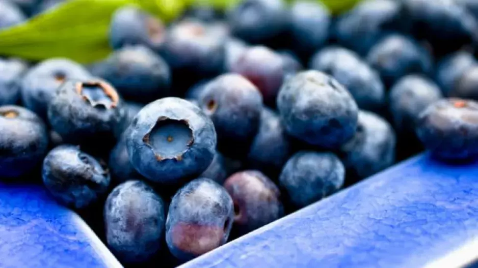 5 potravin, po kterých vám to bude lépe myslet