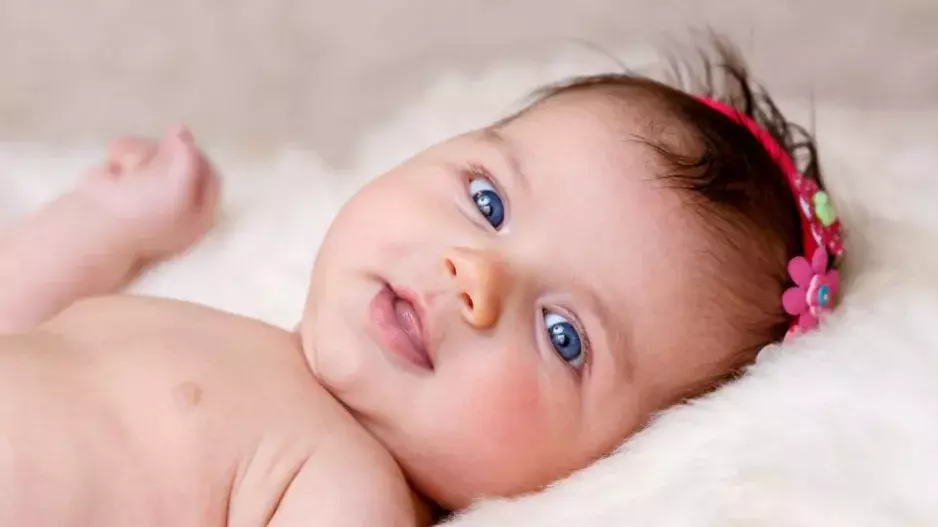 Jesle: ano, nebo ne? Známe 3 klady a 3 zápory