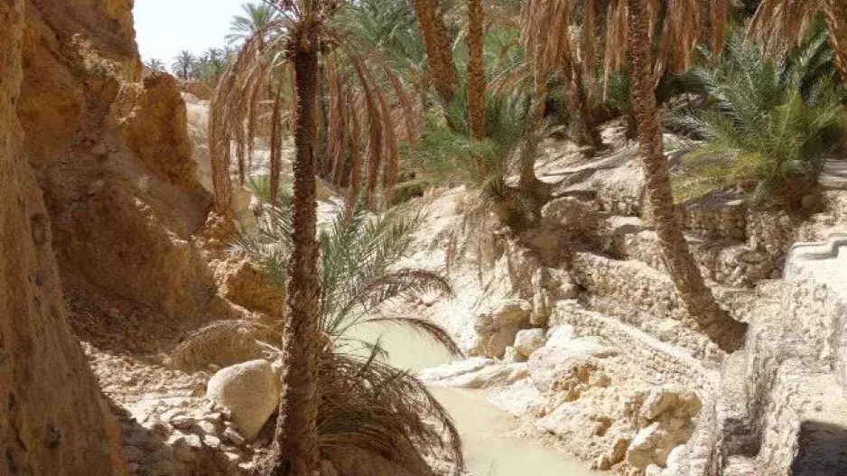 Leťte vstříc oázám