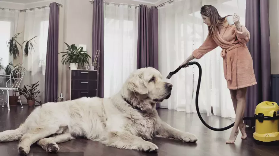 Línání pod kontrolou