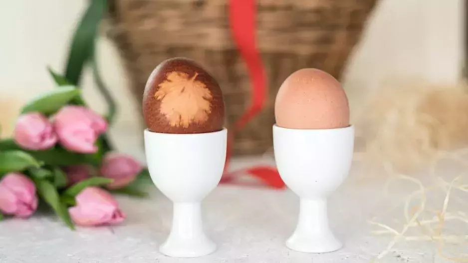 Věděli jste toto o vejcích?