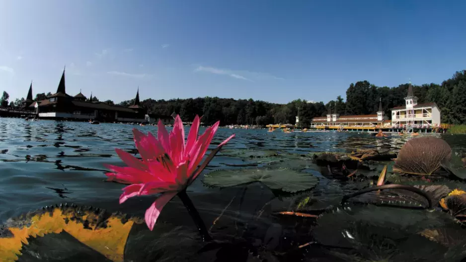 Zažijte perfektní relax v prosluněném v Maďarsku! Jezero Hévíz léčí tělo i duši