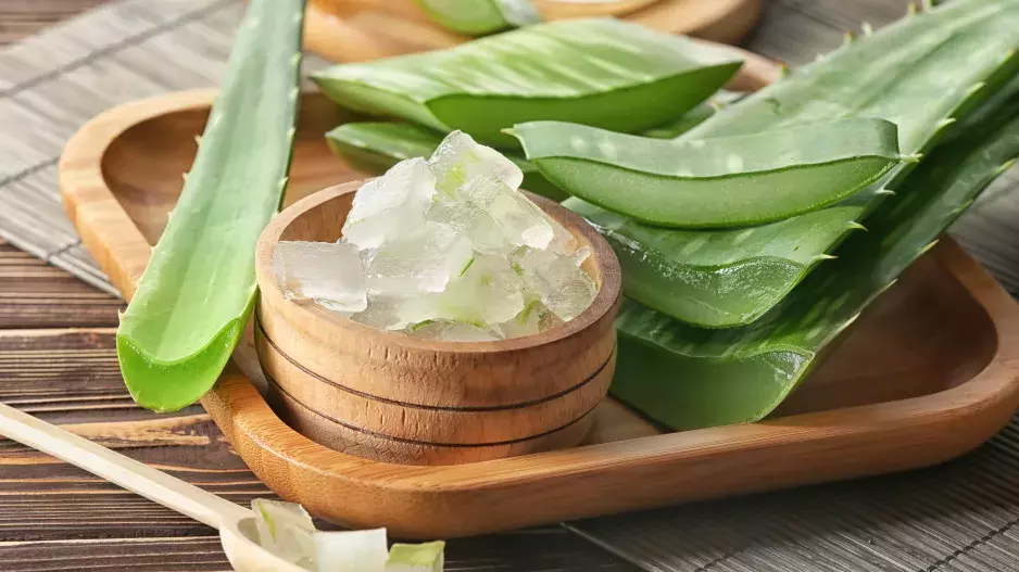 Aloe vera: zázrak, který pomůže vlasům