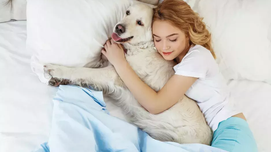 Nejlepší parťák na spaní? Pes!