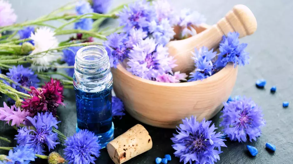 Hýčkejte pleť bylinkami, ocení to!