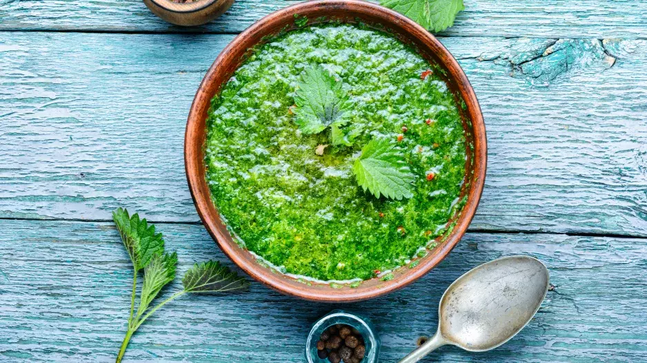 Vyzkoušejte kopřivovou polévku