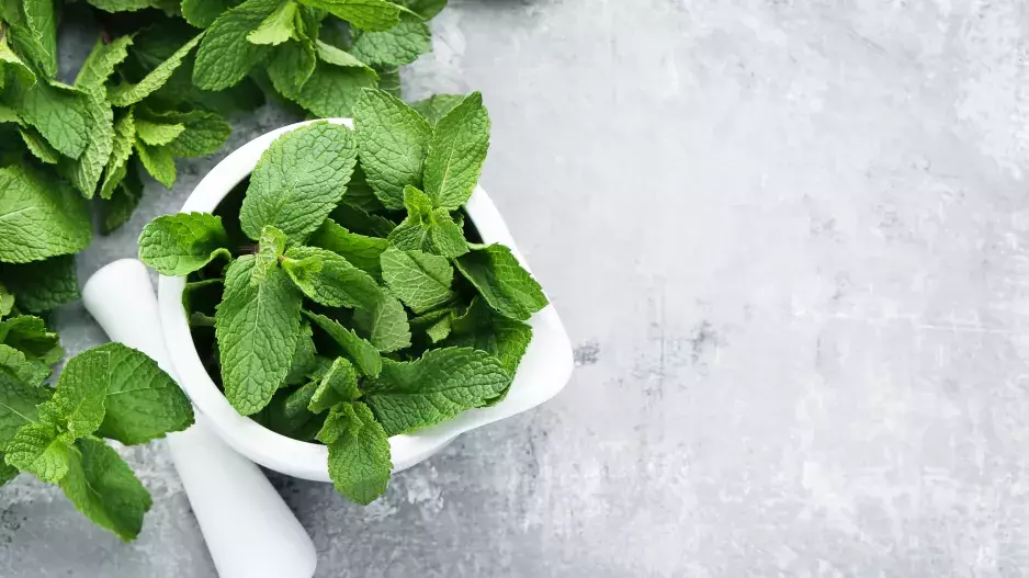 Vaše pleť a máta? Nerozlučná dvojka!