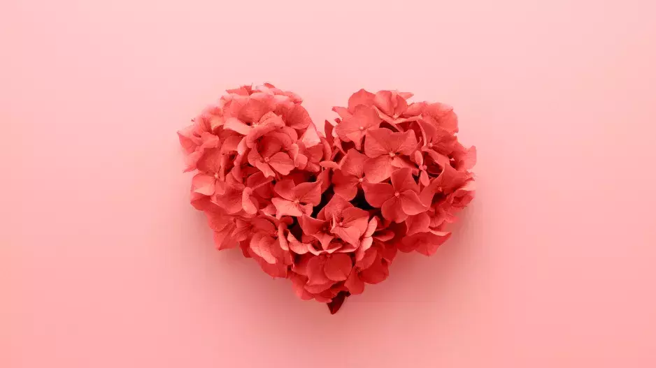 Láska nezná hranic