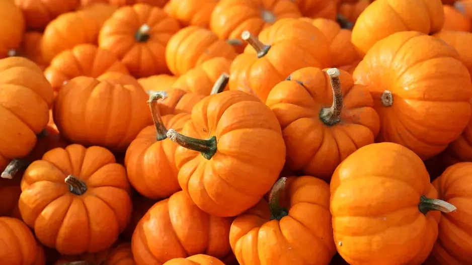 Doba dýňová aneb nejlepší dýňová polévka s vůní vanilky